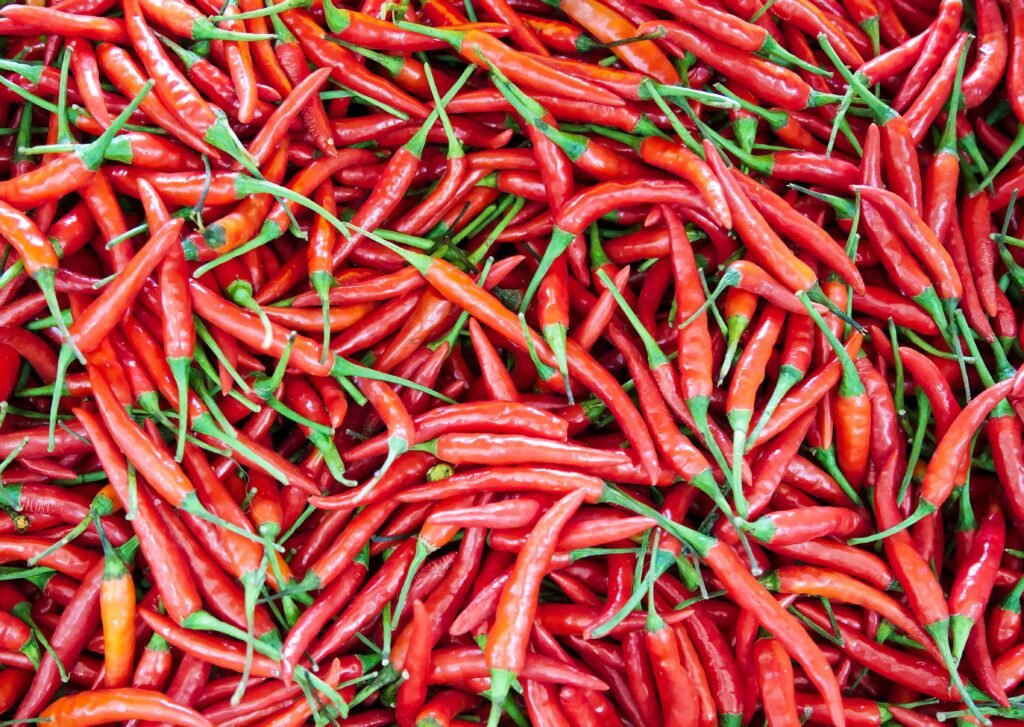 Red chillies and chilli powder